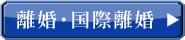 離婚・国際離婚について